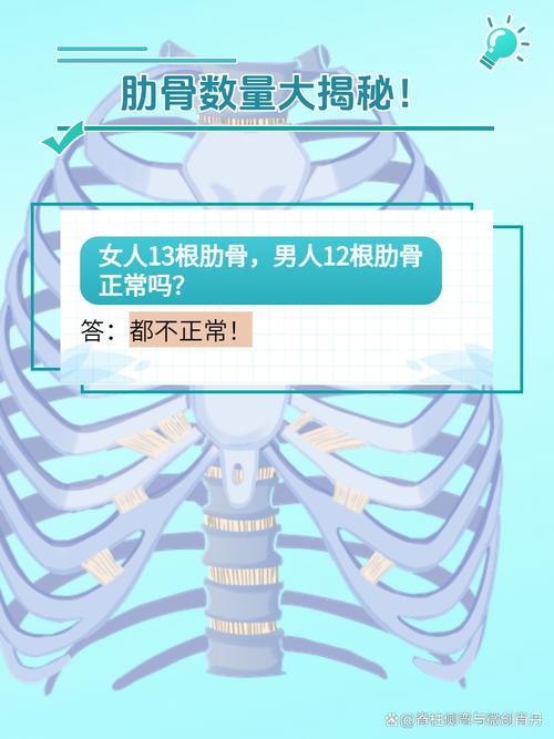 女友出轨日记袁晓芸_女友出轨了_出轨女友求复合